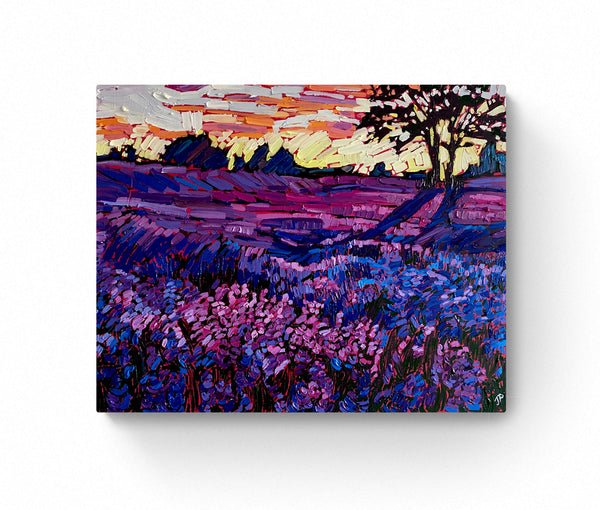Sunrise over Lavender Fields