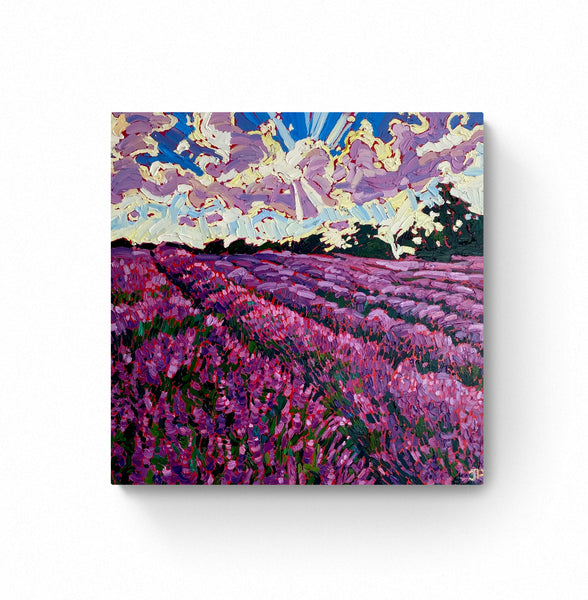 Lavender Fields & Bright Skies