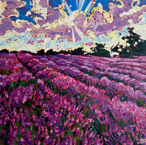 Lavender Fields & Bright Skies