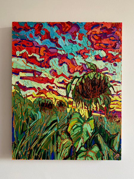 Sunburnt Sunflowers of Ashton Ontario